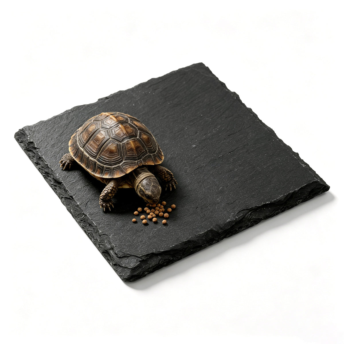 RAHHLIZS Reptile Basking Platform,3.9''x3.9'' Turtle Basking Platform Slate
