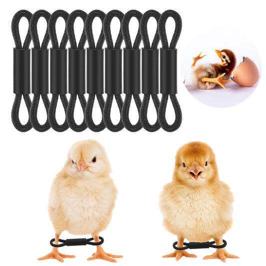 Ymapinc 100 Pieces Leg Bands for Chickens - Chick Baby Chicken Supplies, Splay Ankle Newborn Quail Bird Duck Poultry Leg Bands Baby Chick Accessories