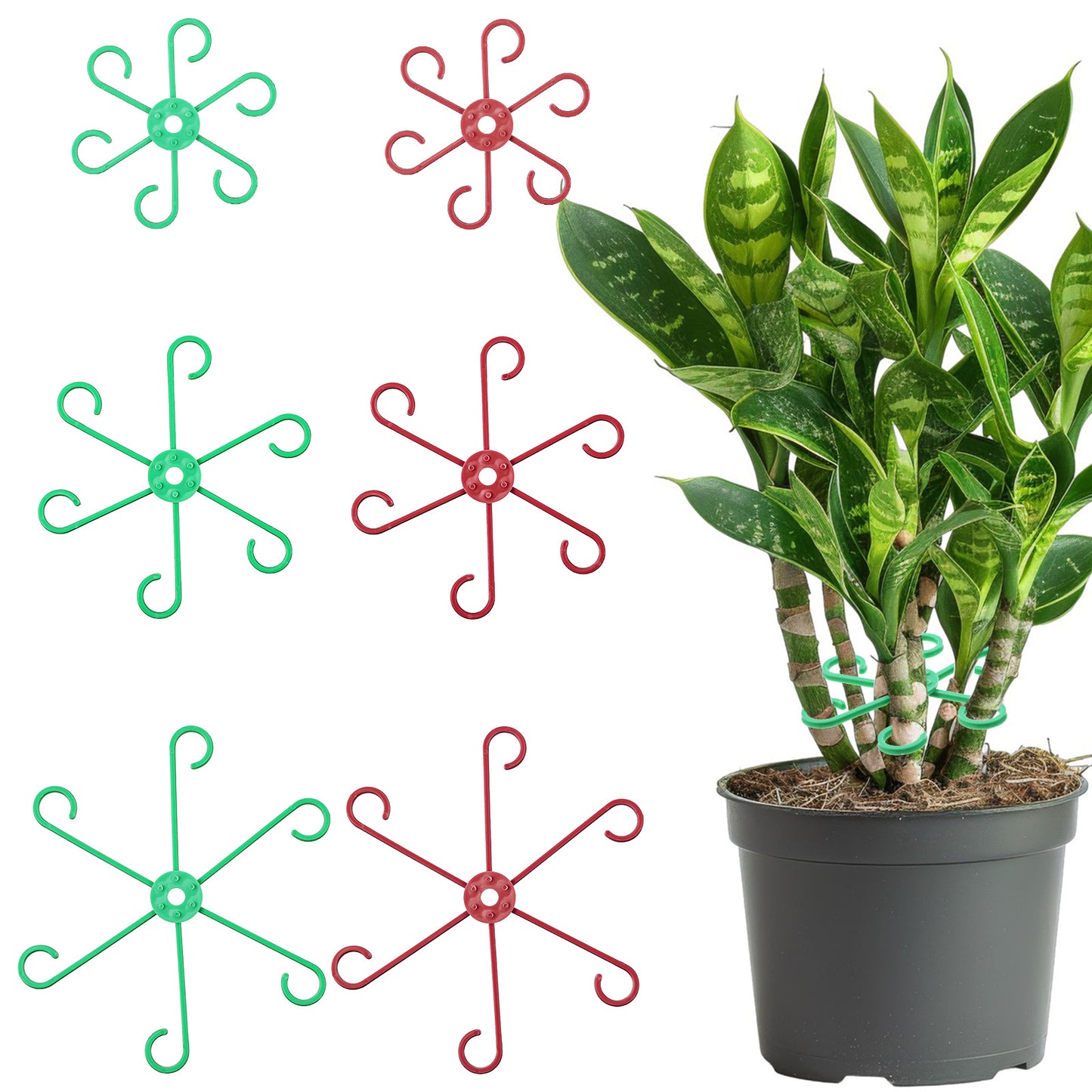 Tyqour 6pcs Plant Supports for Indoor Plants, Plant Stem Support, Plant Stakes for Indoor Plants, Plant Holders, Reusable Plant Support Stakes for Gardening(Green and Burgundy)