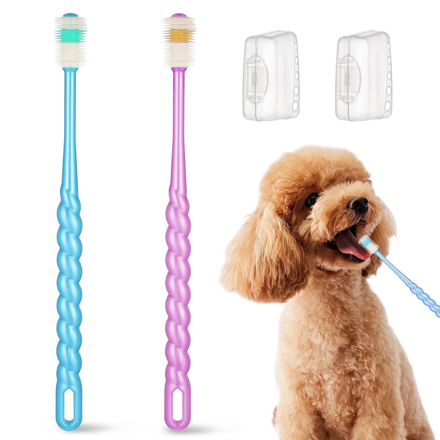 Matwsec 2 Pcs Small Dog & Cat Toothbrush, 360-Degree Soft Pet Toothbrush for Small Dog, Puppy, Kitten, Cat, Dental Care for Teeth (Purple, Light Blue)