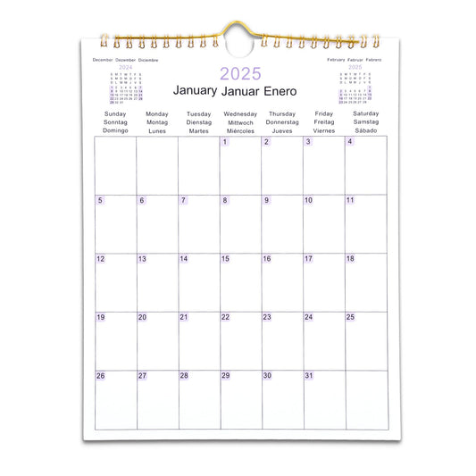 Tyqour Wall Calendar 2025 Calendar Month to View 28 x 22 cm Family Calendar for Easy & Efficient Planning, Family Planner, Office, Student
