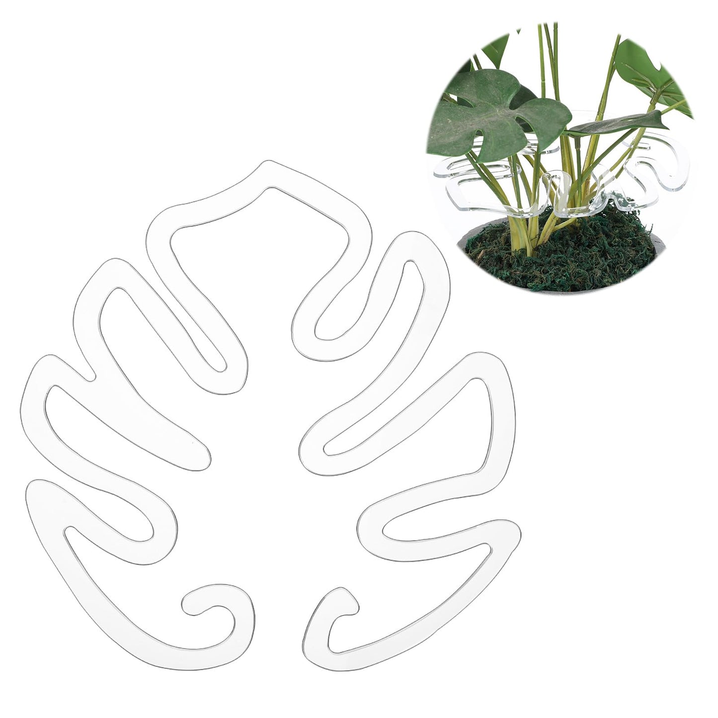 2 Pcs Monstera Plant Support Acrylic Monstera Stabilizer Grapple Holder Turtle Shell Bamboo Clamp Set Monstera Plant Leaf Shaped Stand Plant Ideal For Thriving Growth Indoor Outdoor Plants(Big)