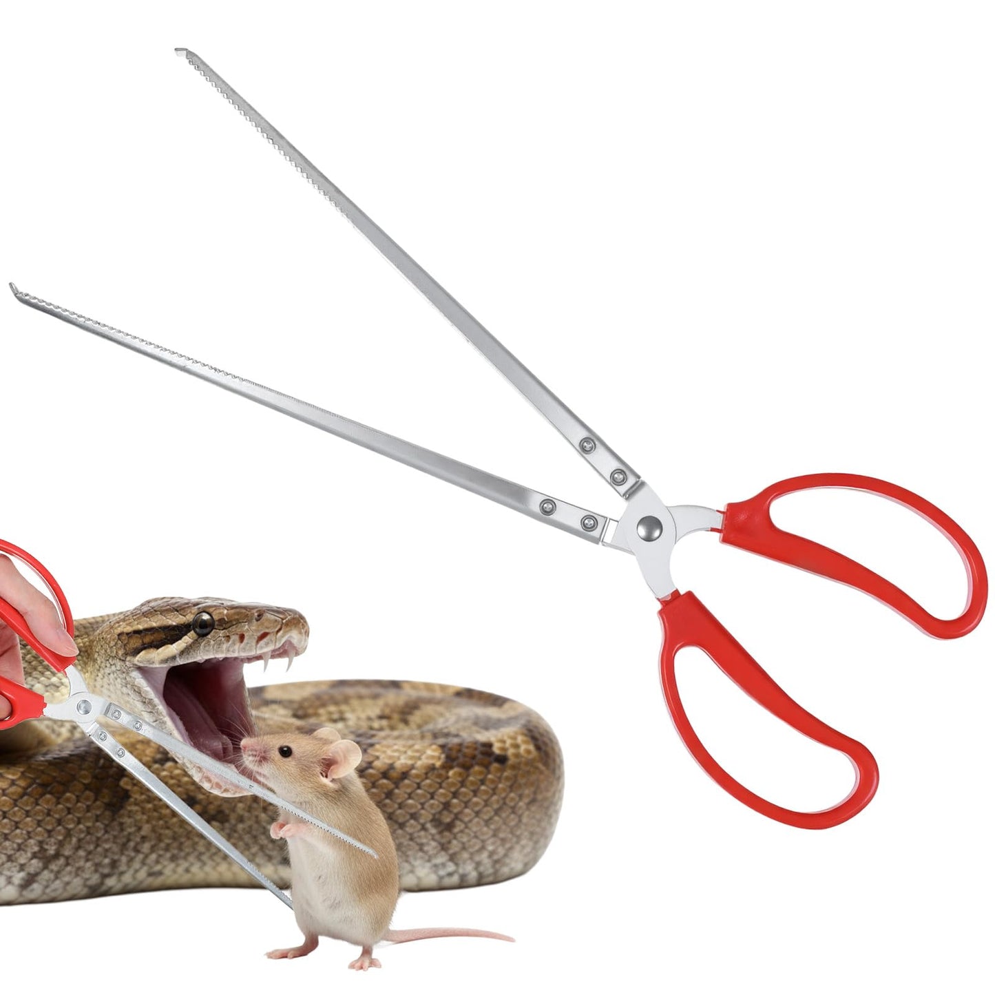 Sorcristy Feeding Tongs 14,57 Inch Snake Reptile Feeding Tongs for Snakes Lizard Extra Long Stainless Steel Large Tweezers Heavy Duty Straight Mouth for Ball Python Fish Aquariums Reptiles