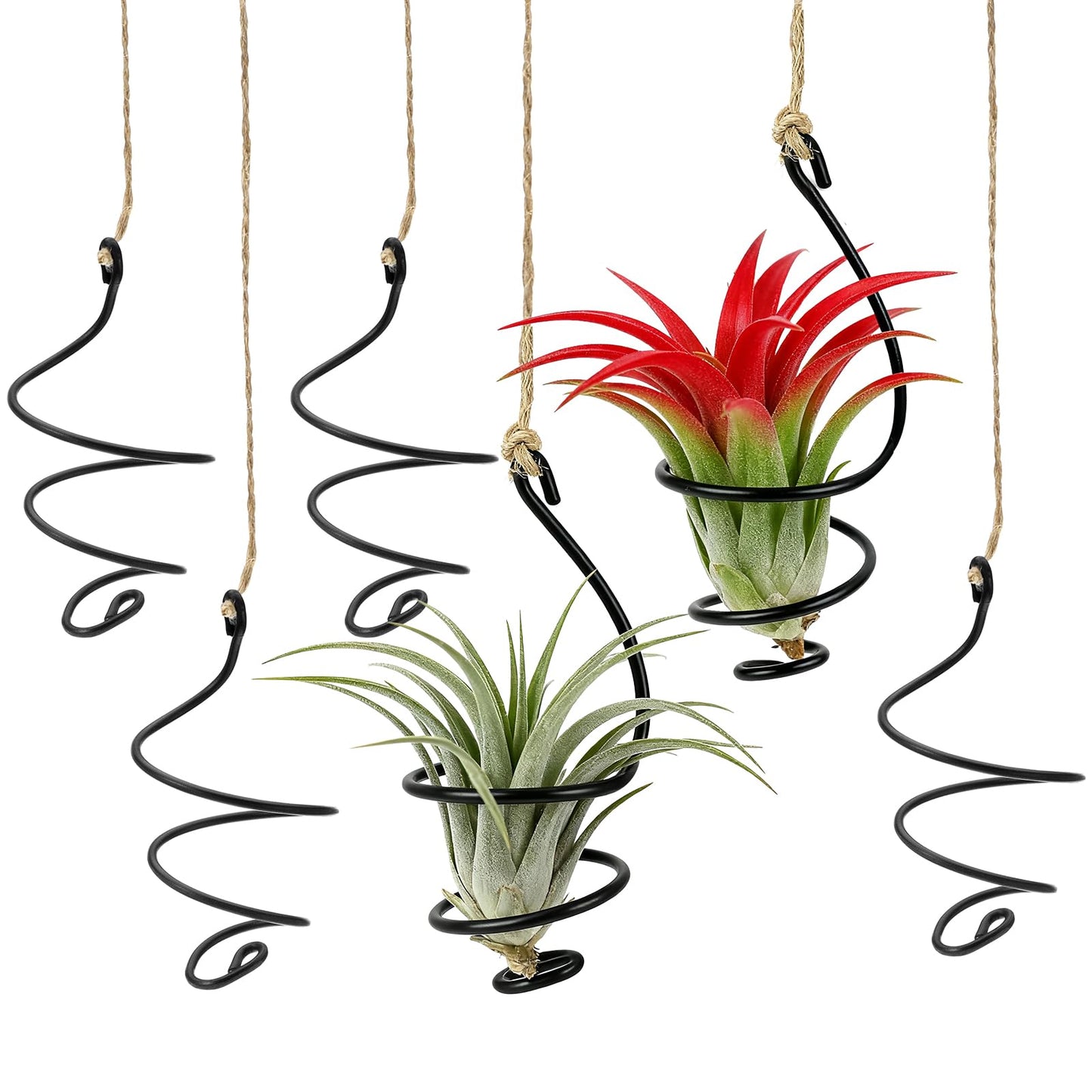 Matwsec 6 Pcs Hanging Air Plant Holders, Distinctive Air Plant Hanger with Jute Ropes and Adjustable Rust-Resistant Iron Rings, Air Plants Live Holders for Tillandsia, Succulents, Home & Office Decor