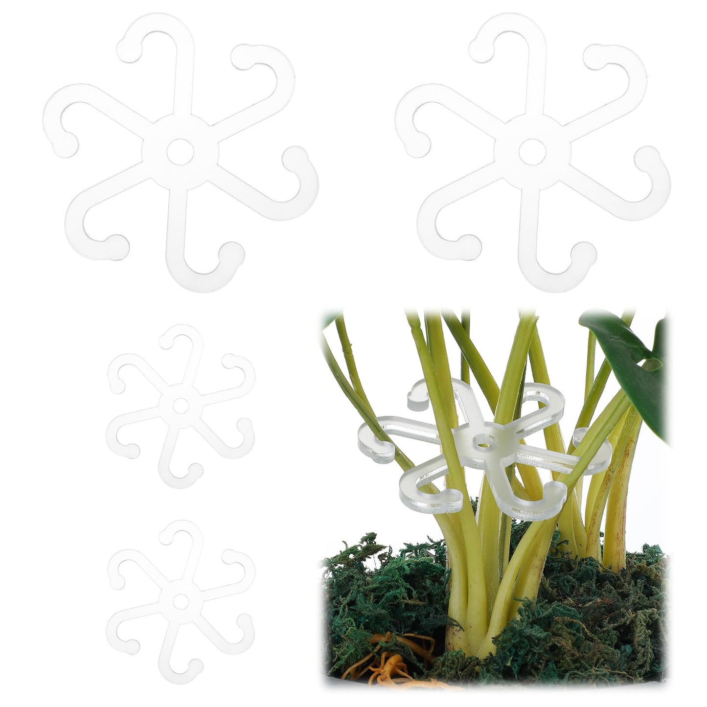 4 Pcs Plant Stem Support For Indoor Plants Climbing Houseplant Stem Supports With Holes Flower Plant Stem Hook Stakes Trellis Reusable Invisible Trellis Indoor Ideal Plant Support For Thriving Growth