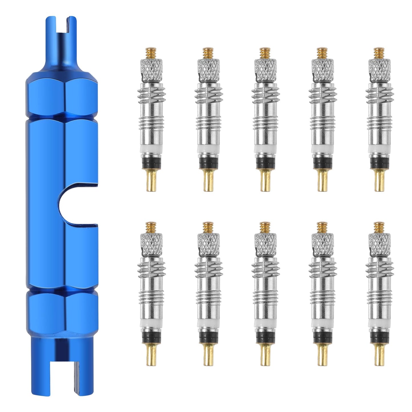 Tyre Valve Removal Tool Kit, Stainless Steel Dual Head Tire Valve Core Removal Tool Repair and 10PCS Valve Core Replacement Set, Presta & Schrader Valve Stem Removal Tool, Universal Bike
