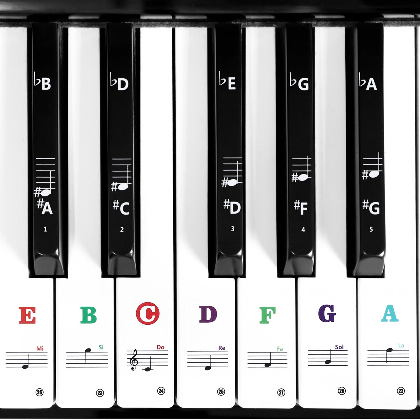 Ymapinc Piano Key Labels, Universal Piano Note Stickers for Beginners, Removable 61 Key Piano Keyboard Note Labels Keyboard Notes Overlay for 88/76/61/54/49/37 Key