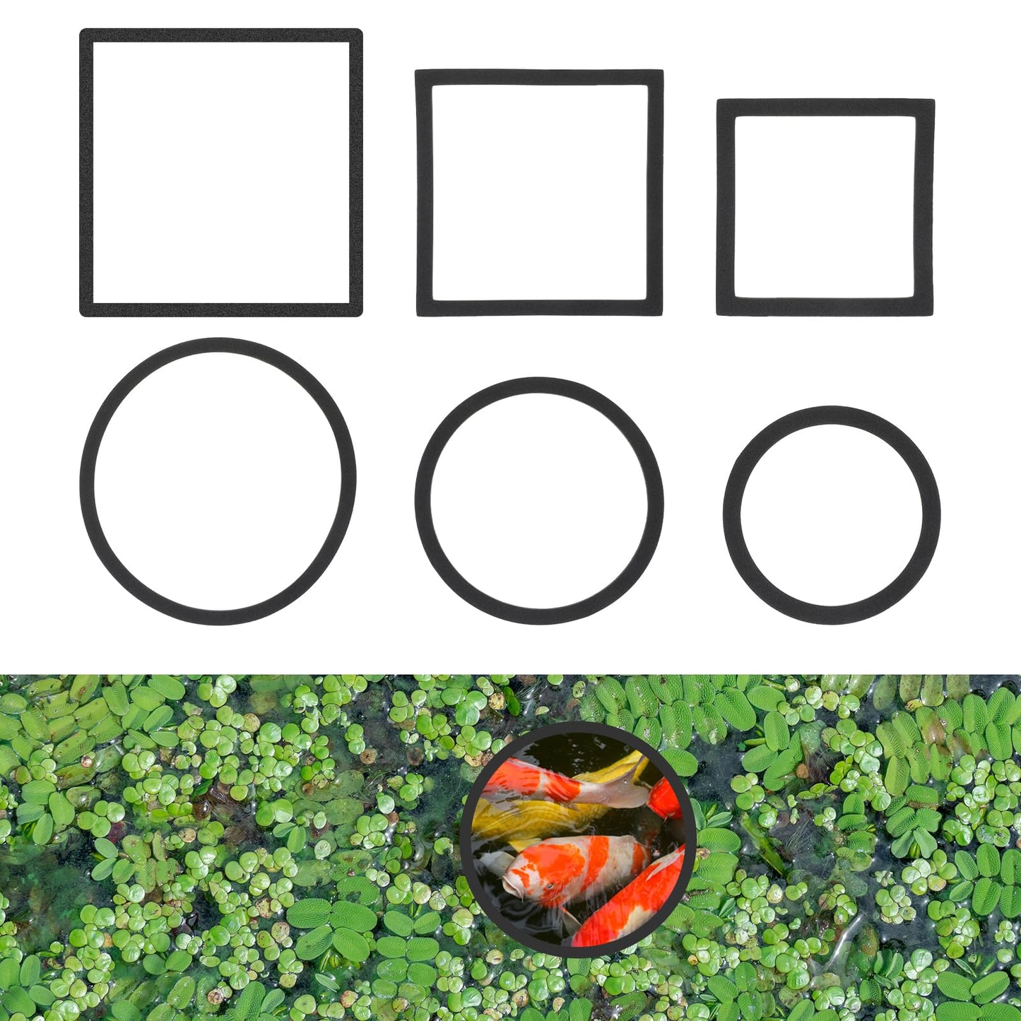 6 Pcs Fish Feeding Rings Set Floating Aquarium Plant Corral, Oval And Square Fish Feeding Rings Floating Plant Ring Fish Tank Feeding Ring Accessories For Betta Fish Tank Aquariums (Black)