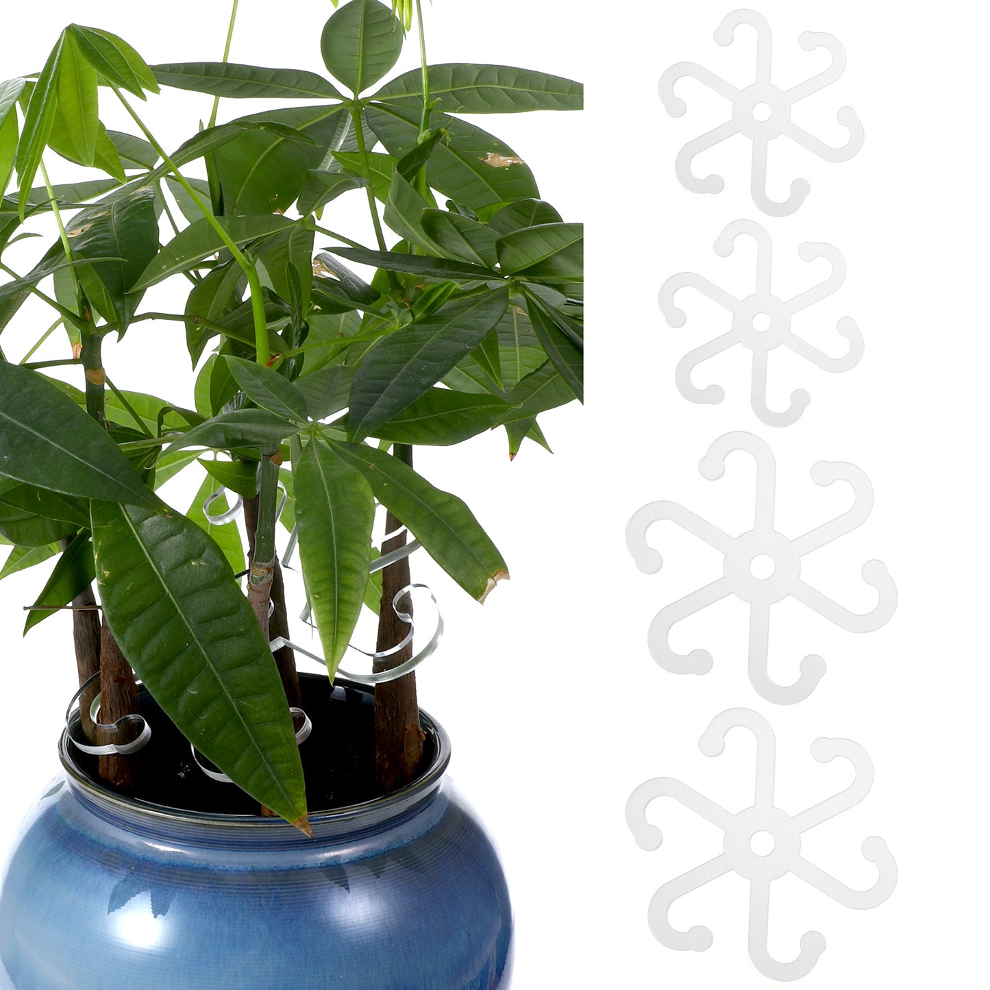 Ouligay 4PCS Plant Stem Supports for Indoor Plants 2 Sizes Monstera Support Stake, Durable Plant Stabilizer, Transparent Acrylic Plant Holder Stick Set