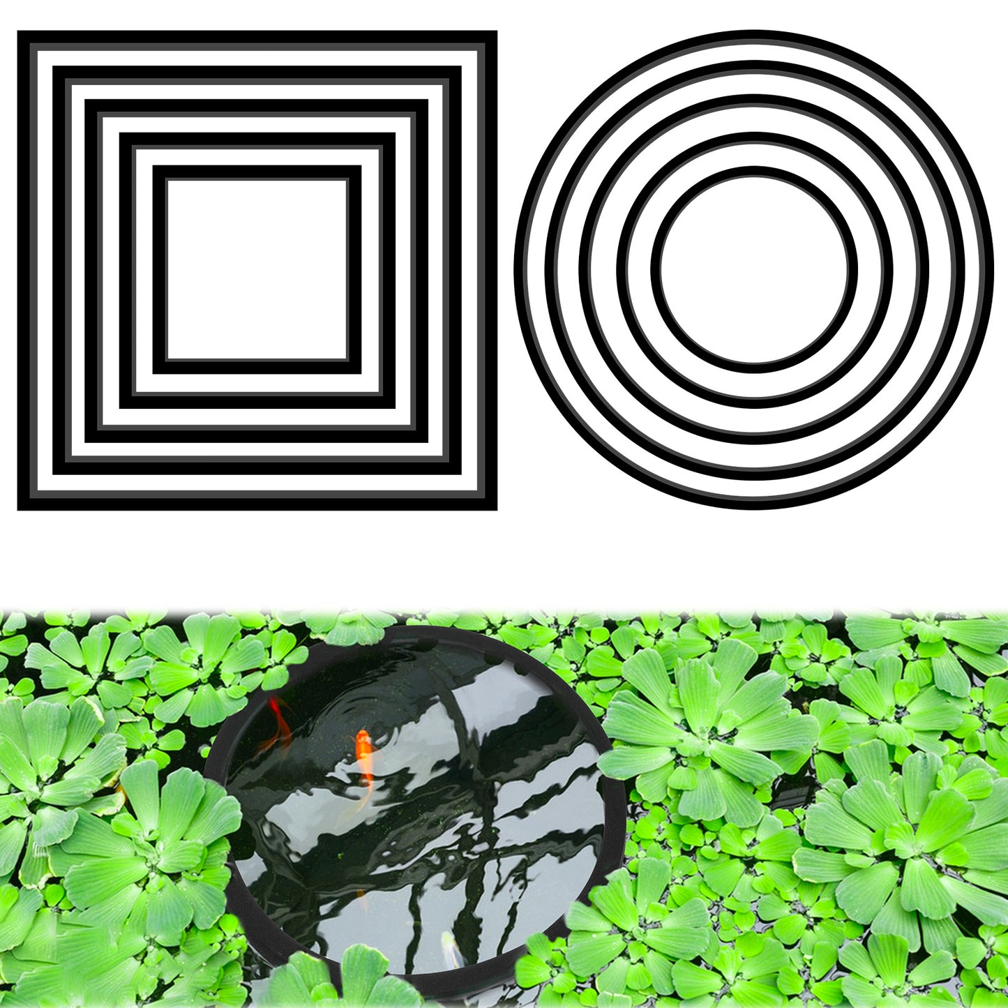10 PCS Fish Feeding Rings Sets, Floating Plant Corral, Round & Square Aquarium Feedings Ring, Floating Rings for Aquarium, Fish Tank Feeding Ring, Black