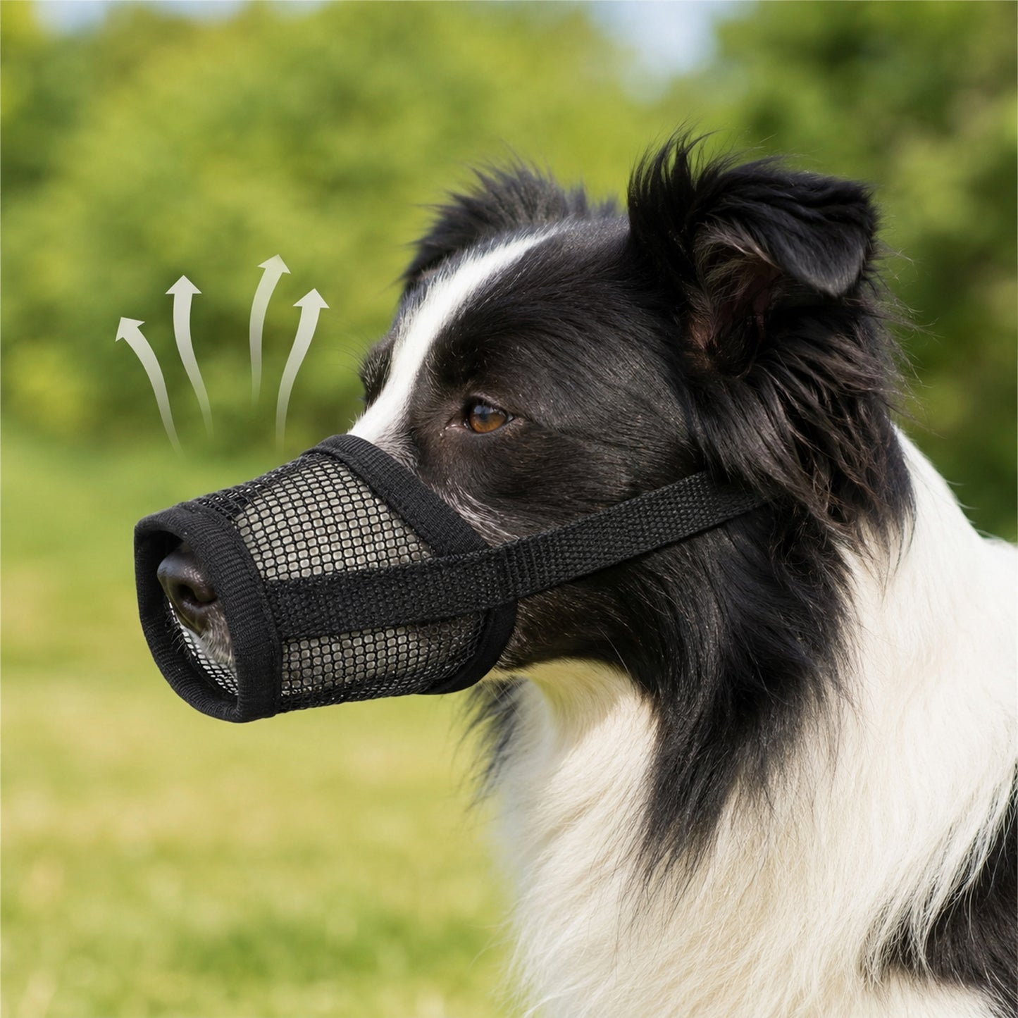 Dog Muzzle for Large Dogs Medium Sized Dogs Small Dog Anti Biting