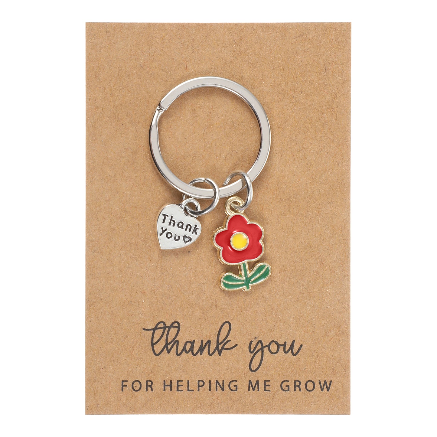 Nogeqi Teacher Appreciation Keychain Gifts, Teacher Day Gifts for Women Men