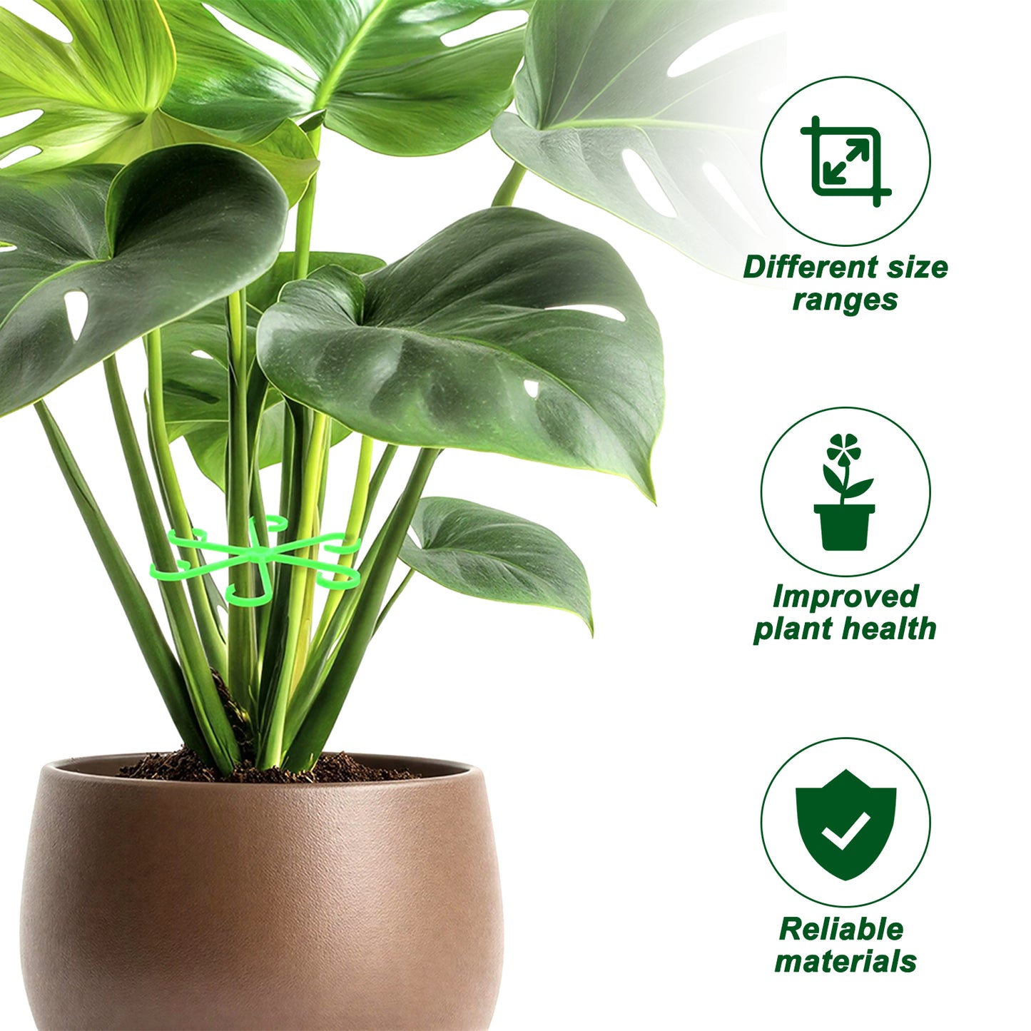 Matwsec 10 Pcs Plant Stem Support, 4 Sizes Monstera Plant Support for Indoor Plants, Plastic Climbing Houseplant Plant Stabilizer, Reusable Stable Plant Support Stakes, Green