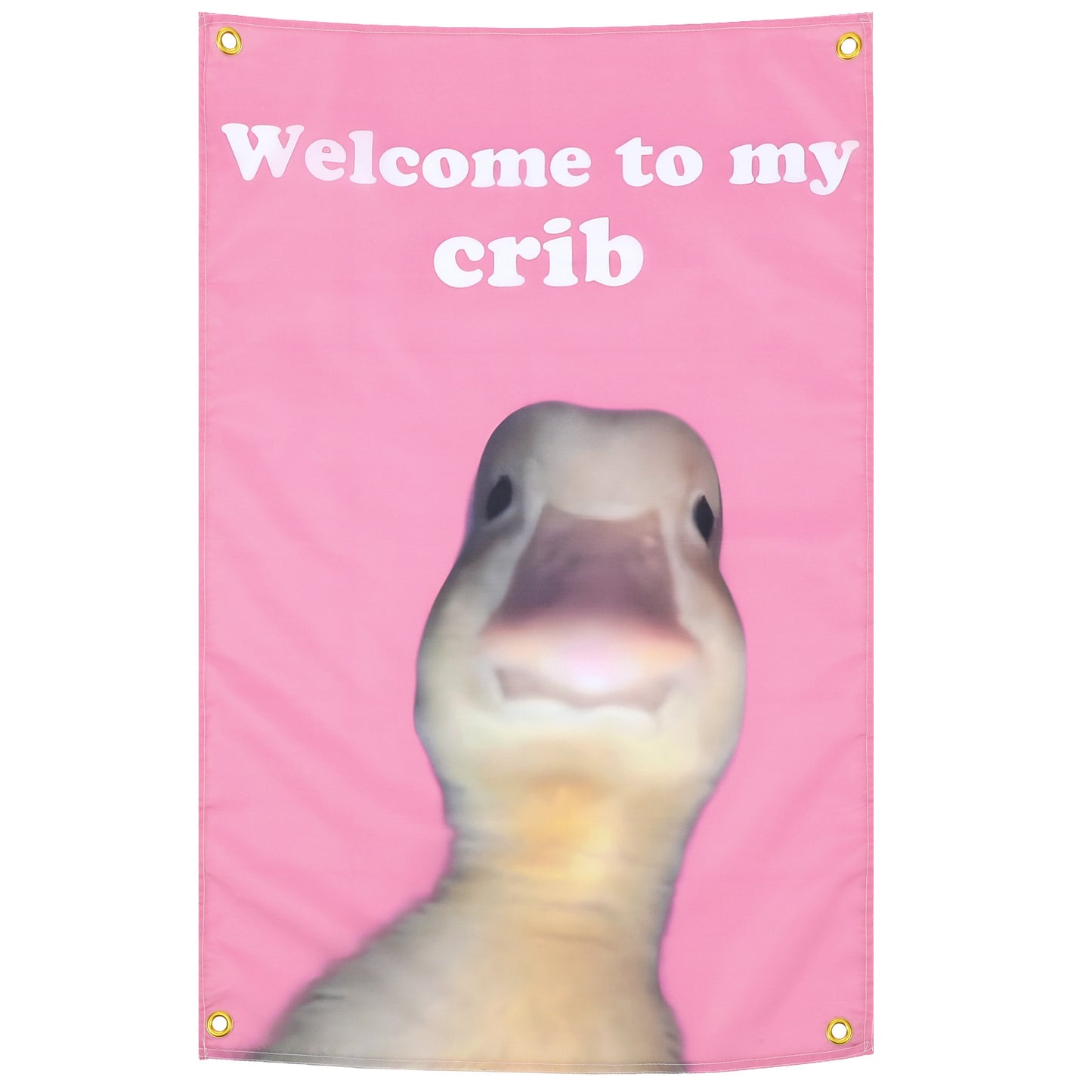 Shimmeroo Funny Flags,23×35 inch Welcome to My Crib Flag Funny Tapestry for Bedroom Wall Art Duck Flag Tapestry for College Dorm Room,Festivals Outdoor Activities,Room decor