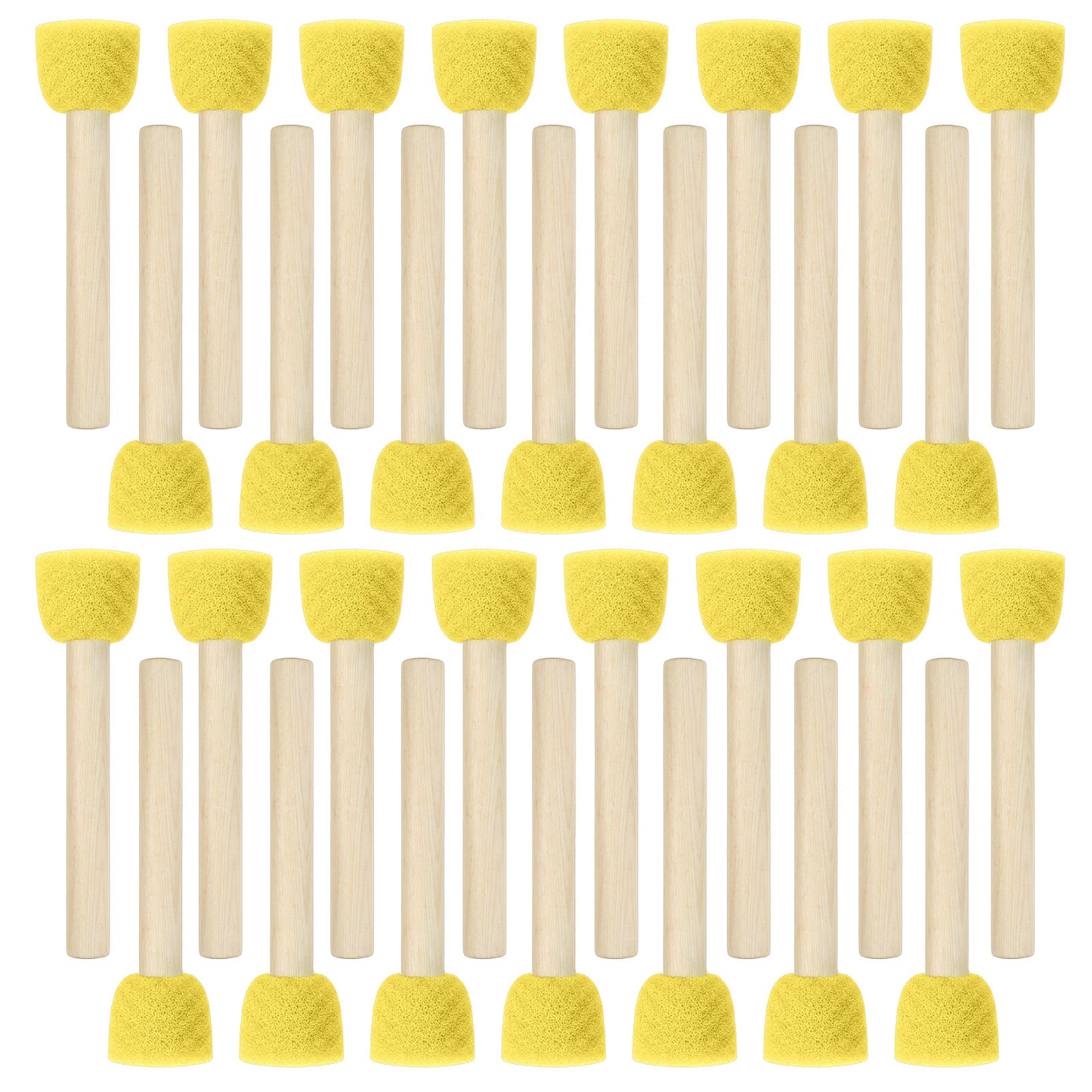 Nogeqi 30 Pcs Round Sponge Brush, Sponge Brushes for Painting, Sponge Paint Brush, Painting Sponges Set for Art Class Acrylic Painting,Paint Tools for Art Craft