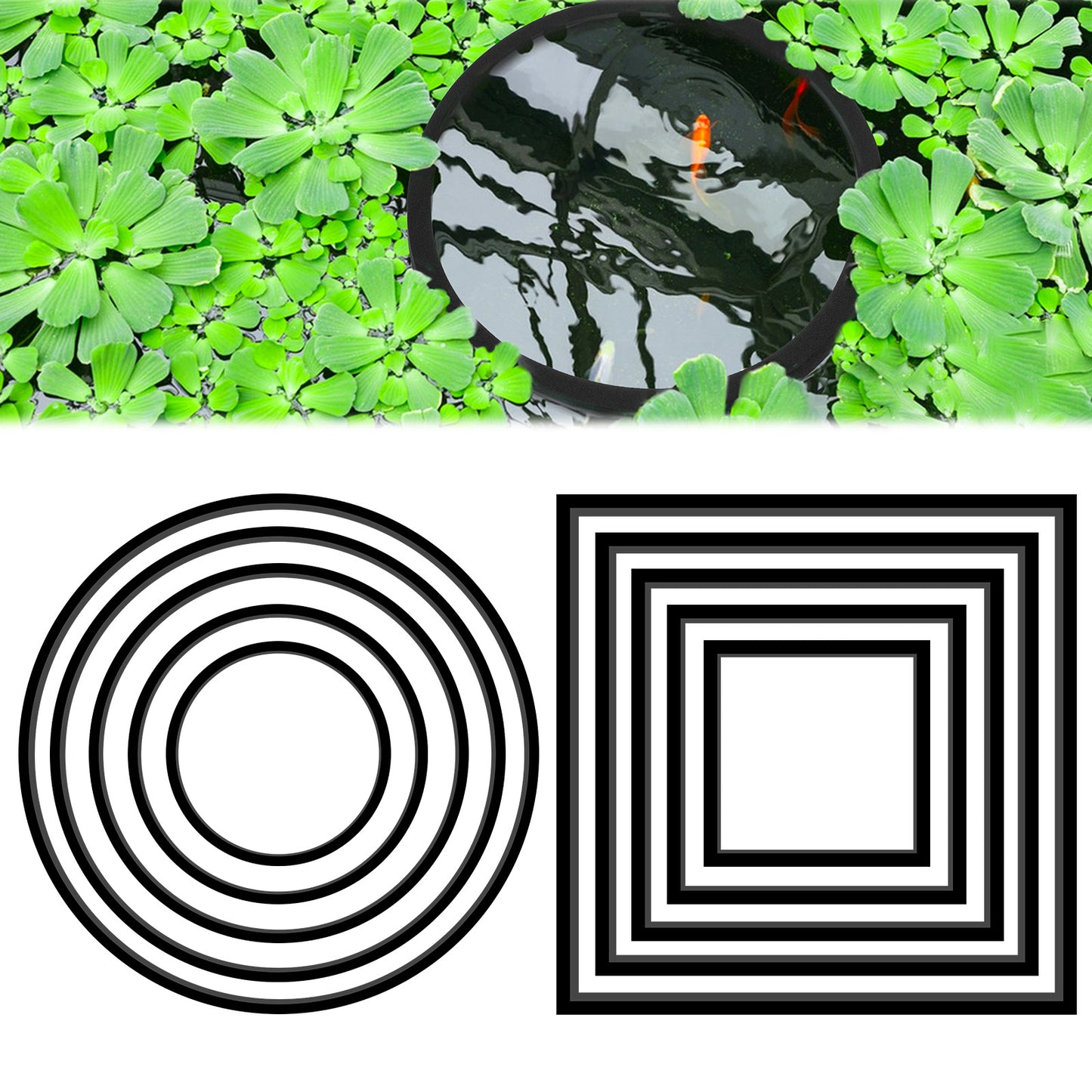 10pcs Aquarium Feeding Ring - Floating Plant Barrier, Oval and Square Accessories for Betta Tanks, Multi-Size Black EVA Rings