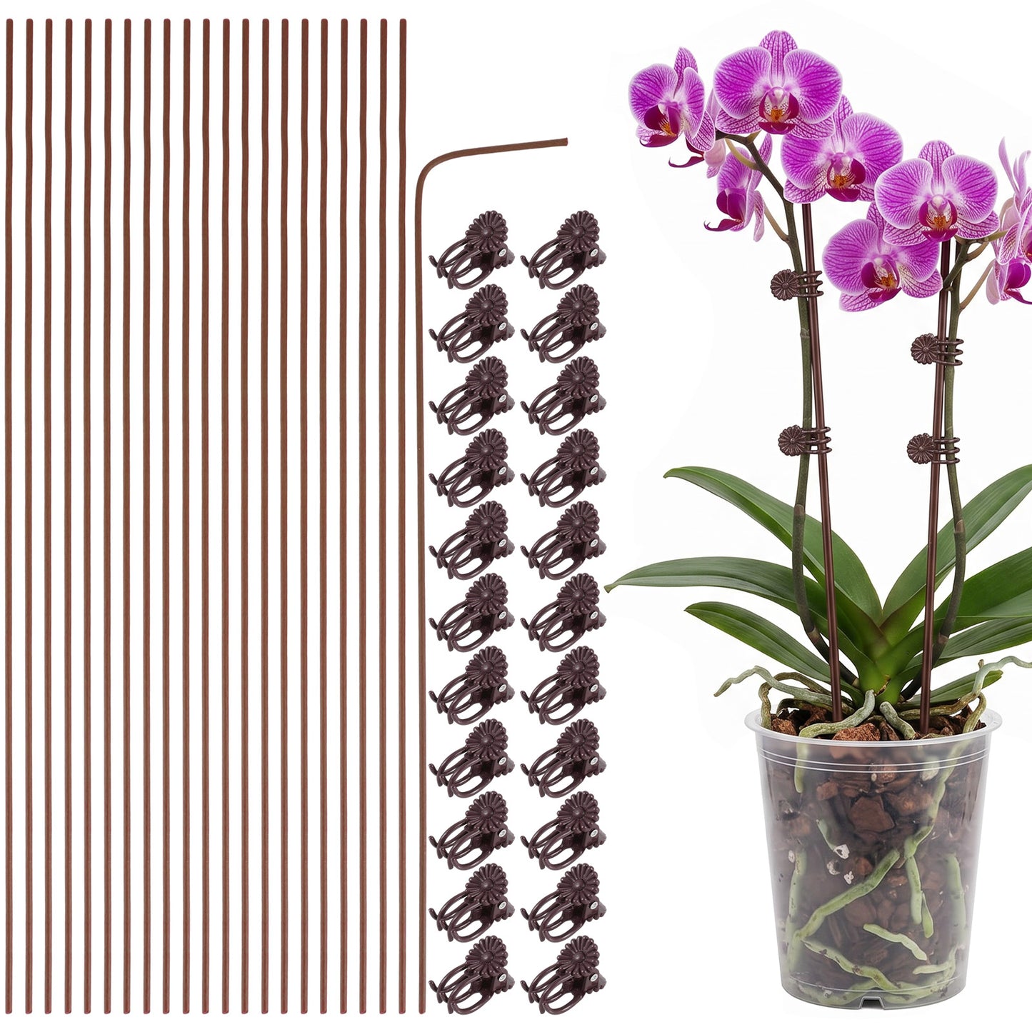 Nogeqi 10 Pack Orchid Stakes and Clips, Flexible Plant Support Stakes,11.8 Inch Plant Holder Stick for Garden,Plants Supports for Tomato Rose Outdoor Indoor Plants Professional Phalaenopsis(Brown)