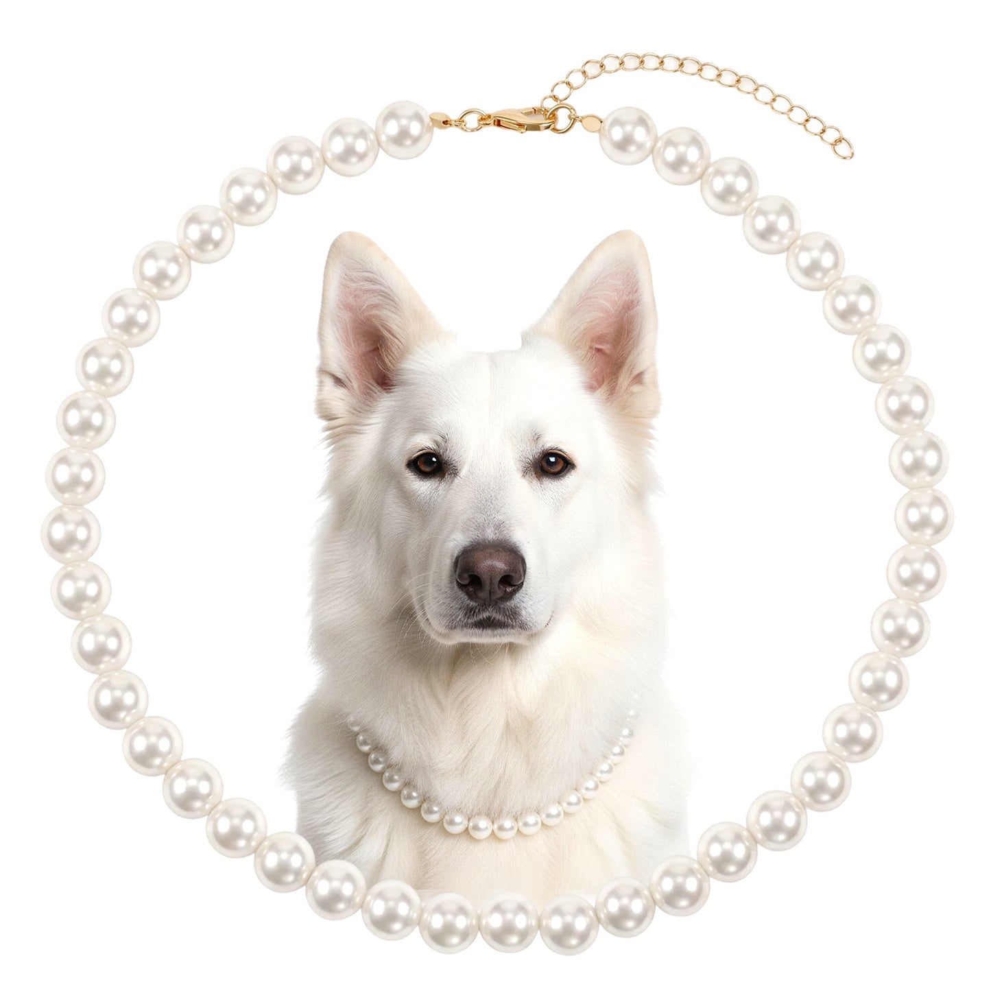 Ymapinc Beaded Dog Necklace, Chunky Pearl Necklace, Adjustable Pearl for Small-Medium-Large Dogs, Fancy Pet Accessories, Dog Accessories & Clothing for Dogs