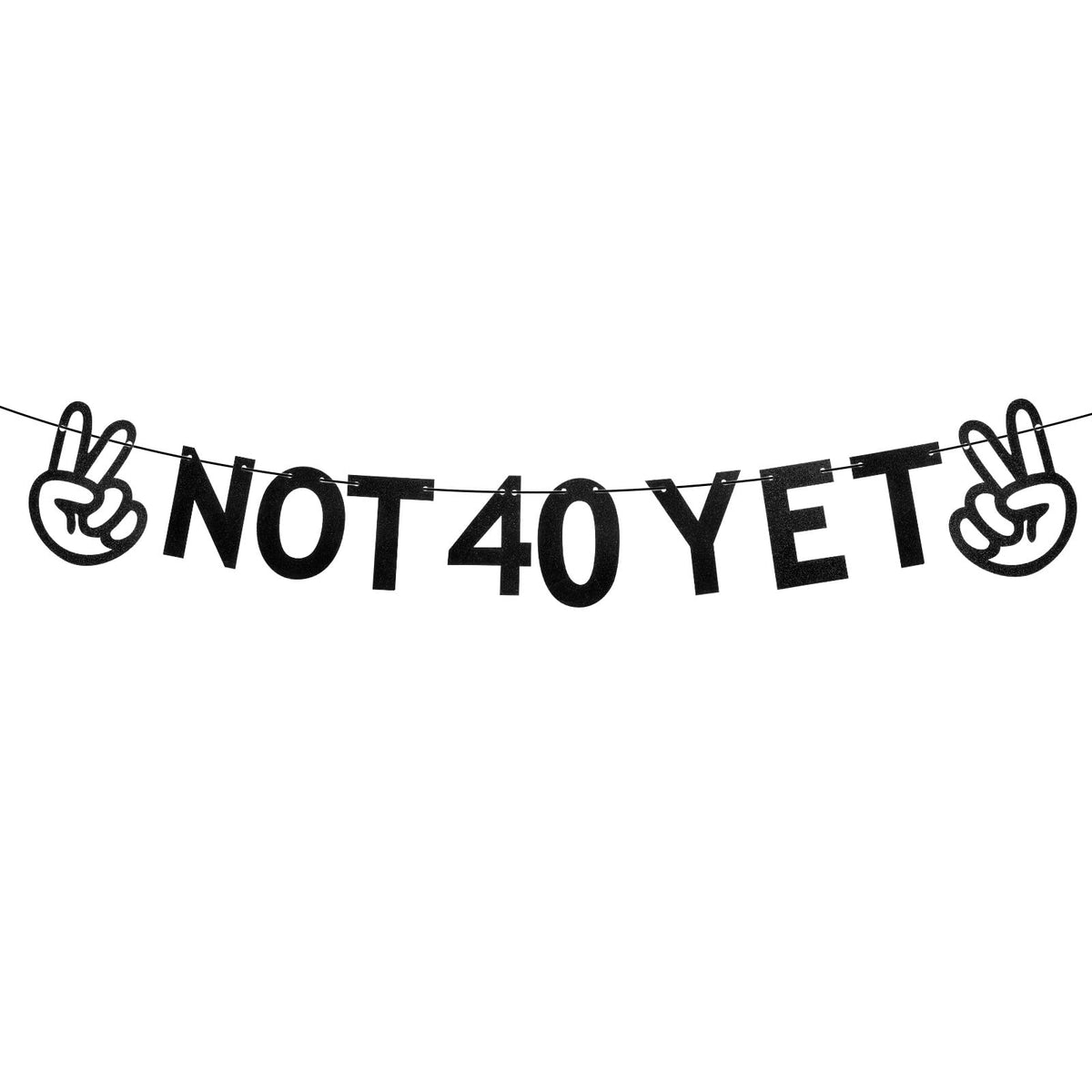 Chsoejuf 39th Birthday Party Decorations, Funny Not 40 yet Banner