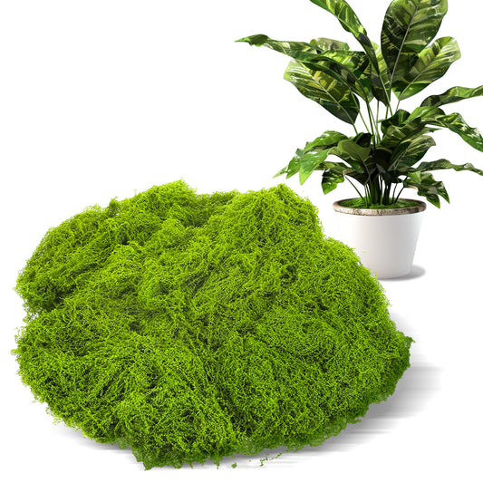 Teaaha 100 gram Artificial Moss for Crafts, Fake Green Decor Preserved Moss for DIY Projects, Fairy Gardens, Wedding Centerpieces, Home Decor, Party Arrangements