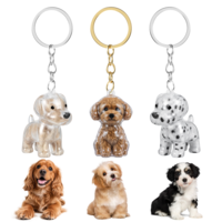 Ymapinc Pet Fur Keepsake Keyring,3pcs Dog Fur Keepsake Keyring, Pet Keyrings, Hair Keepsakes, Cute Dog Memories Keychain Transparent Locket