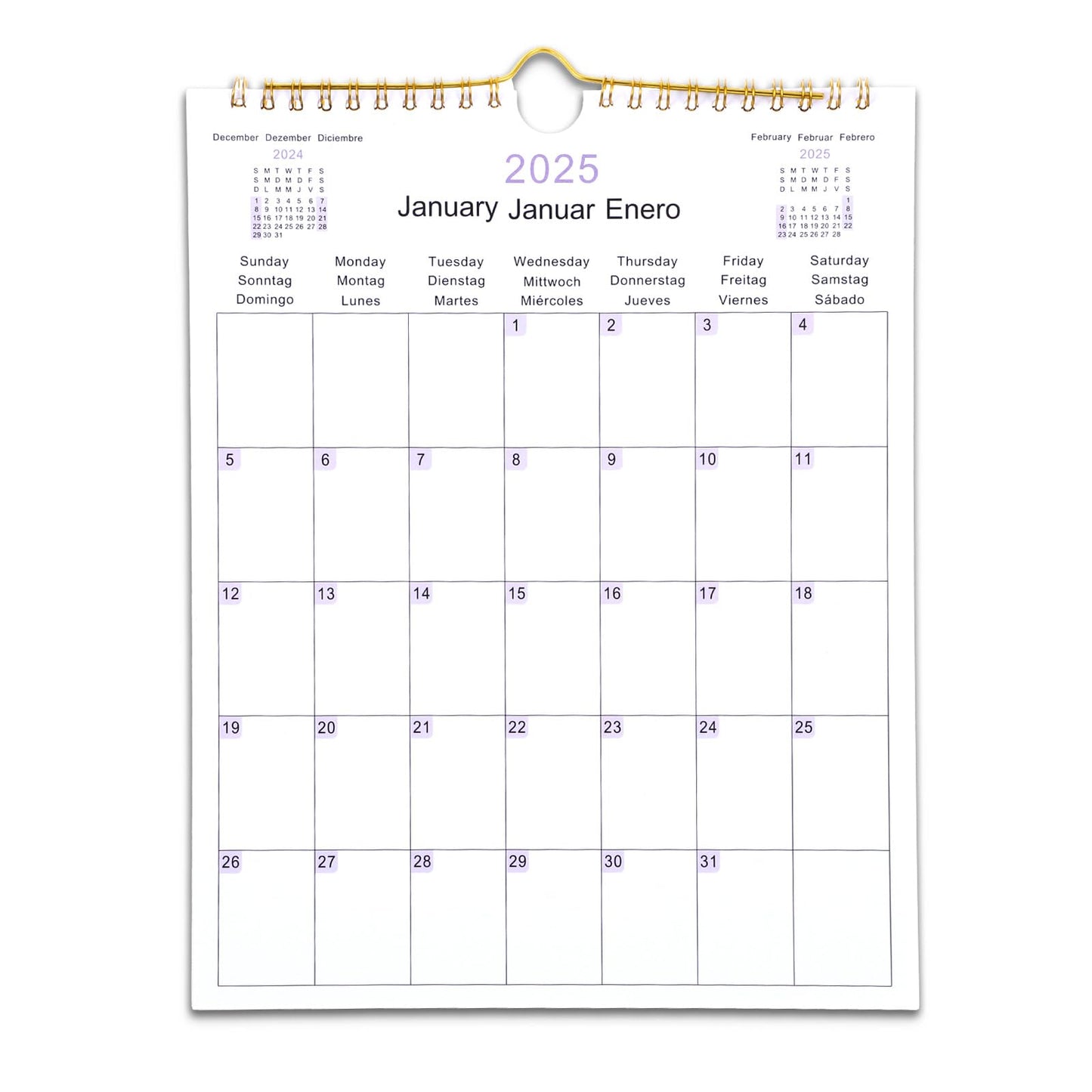 Tyqour Wall Calendar 2025 Calendar Month to View 28 x 22 cm Family Calendar for Easy & Efficient Planning, Family Planner, Office, Student