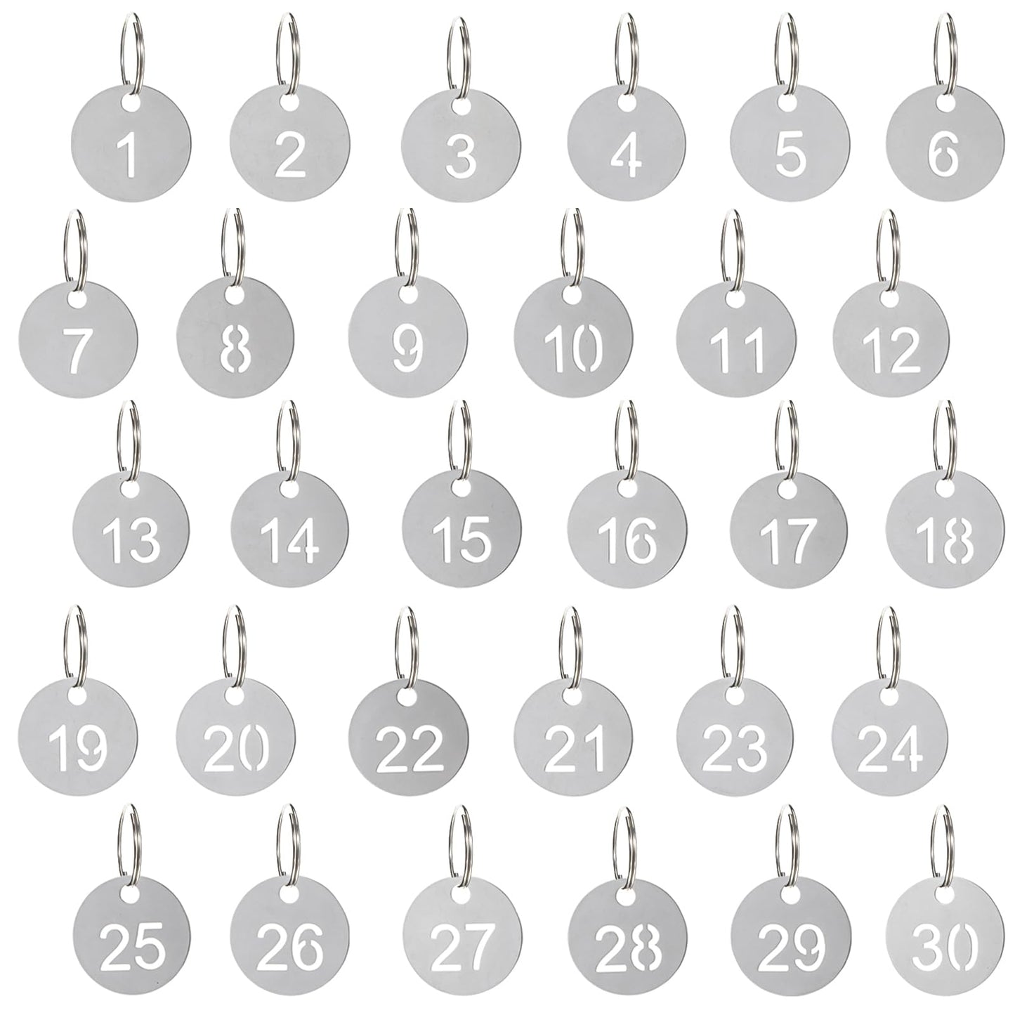 Chsoejuf 30 PCS Key Tags with Labels, Stainless Steel 1-30 Numbered Key Tag