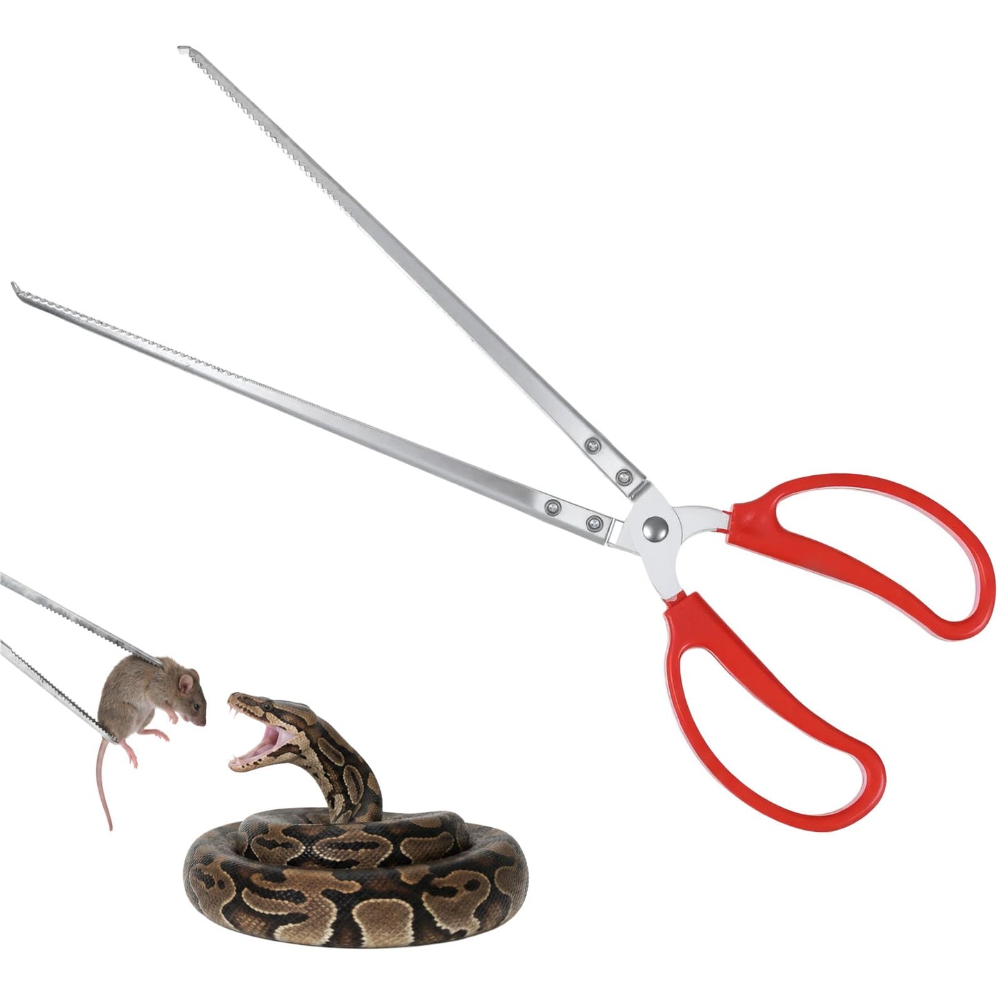 Bremorou Snake Feeding Tongs 14.5 Inch Extra Long Large Stainless Steel Reptile Feeding Tongs Tweezers with Anti-Slip Handle Heavy Duty Crab Tongs for Ball Python Accessories Aquascape Maintenance
