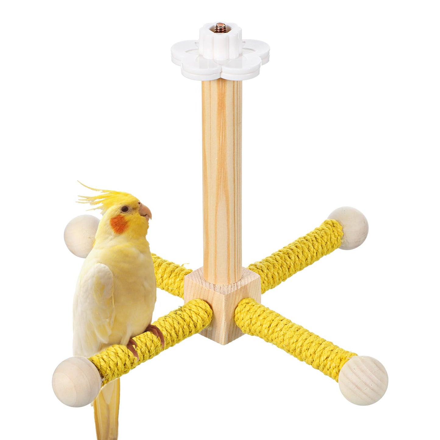 Chsoejuf 360° Silent Free-Spin Natural Wooden Hanging Bird Perch Stand Toy