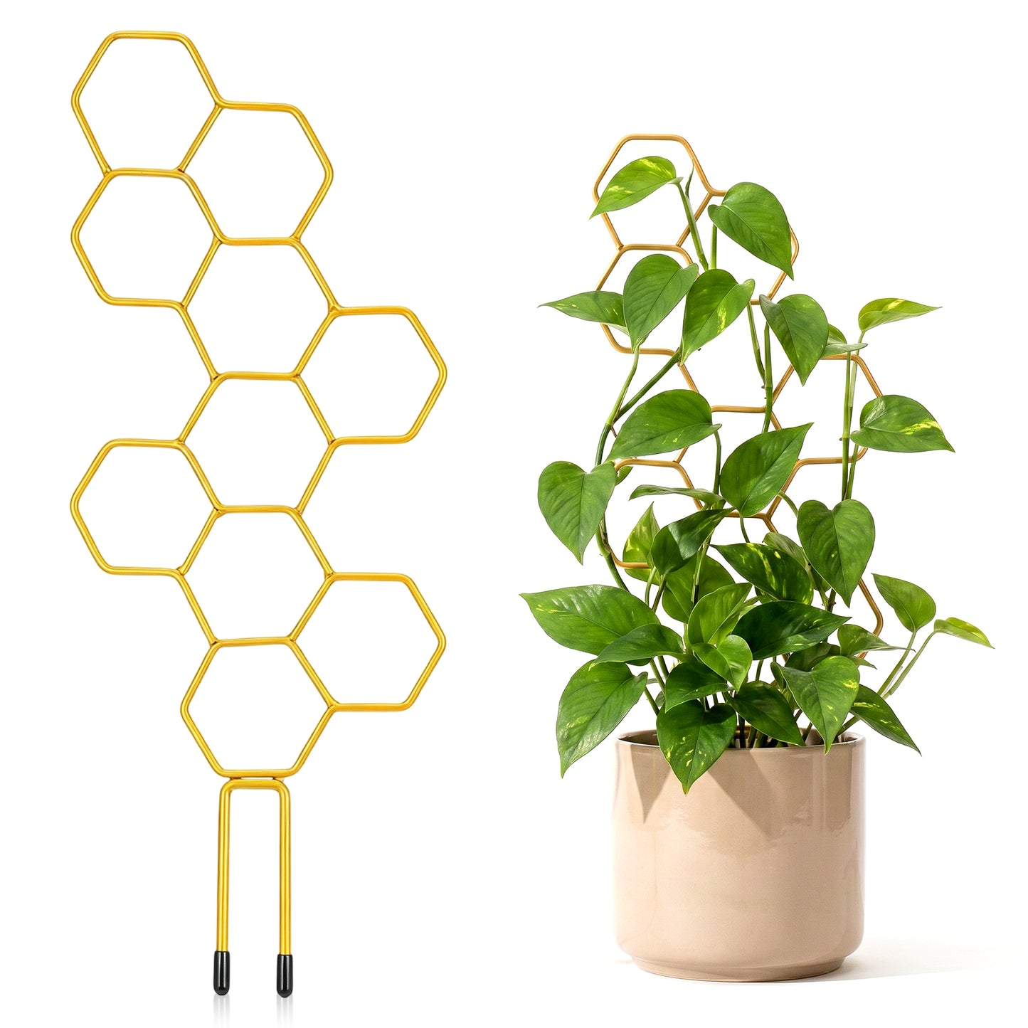 RAHHLIZS 13.78 Inch Metal Small Trellis for Potted Plants, Indoor Plant Trellis, Trellis for Climbing Plants, Small Garden Trellis for Indoor Plants Accessories Hoya Flower Plant Support Plant Gifts
