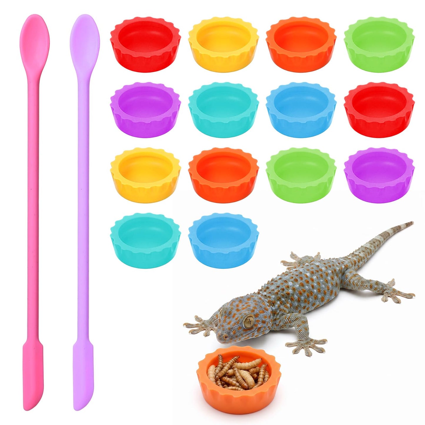 Chsoejuf 14 PCS Crested Gecko Food and Water Bowl, Reusable Feeding Dish