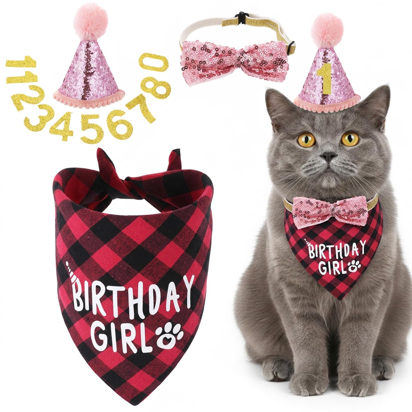 Xindojuz Adjustable Cat Birthday Hat Decoration & Outfit Set (Pink)