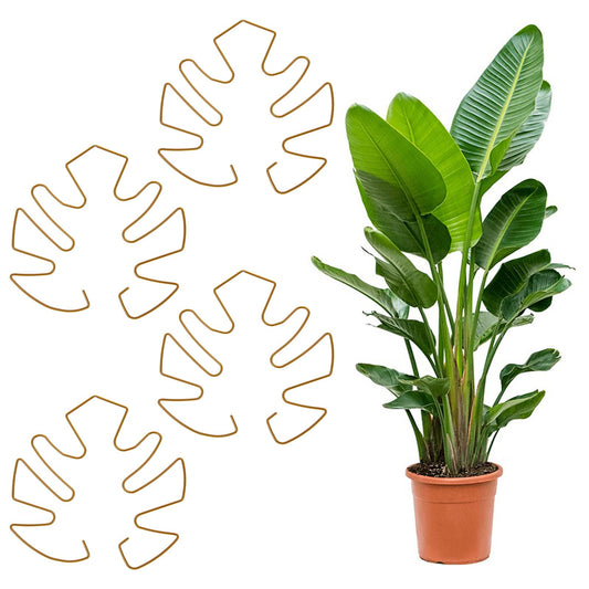 Tyqour 4pcs Plant Stem Support - Durable Iron Moss Poles for Climbing Plants, Pothos Plant Climber Support, Plant Cutting Holders, Unique Design for Optimal Growth, Indoor Plant Stakes (Gold, 13x14cm)