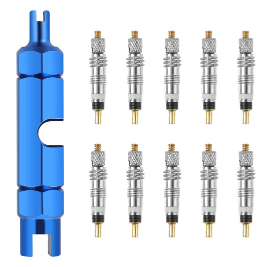 Tyre Valve Removal Tool Kit, Stainless Steel Dual Head Tire Valve Core Removal Tool Repair and 10PCS Valve Core Replacement Set, Presta & Schrader Valve Stem Removal Tool, Universal Bike