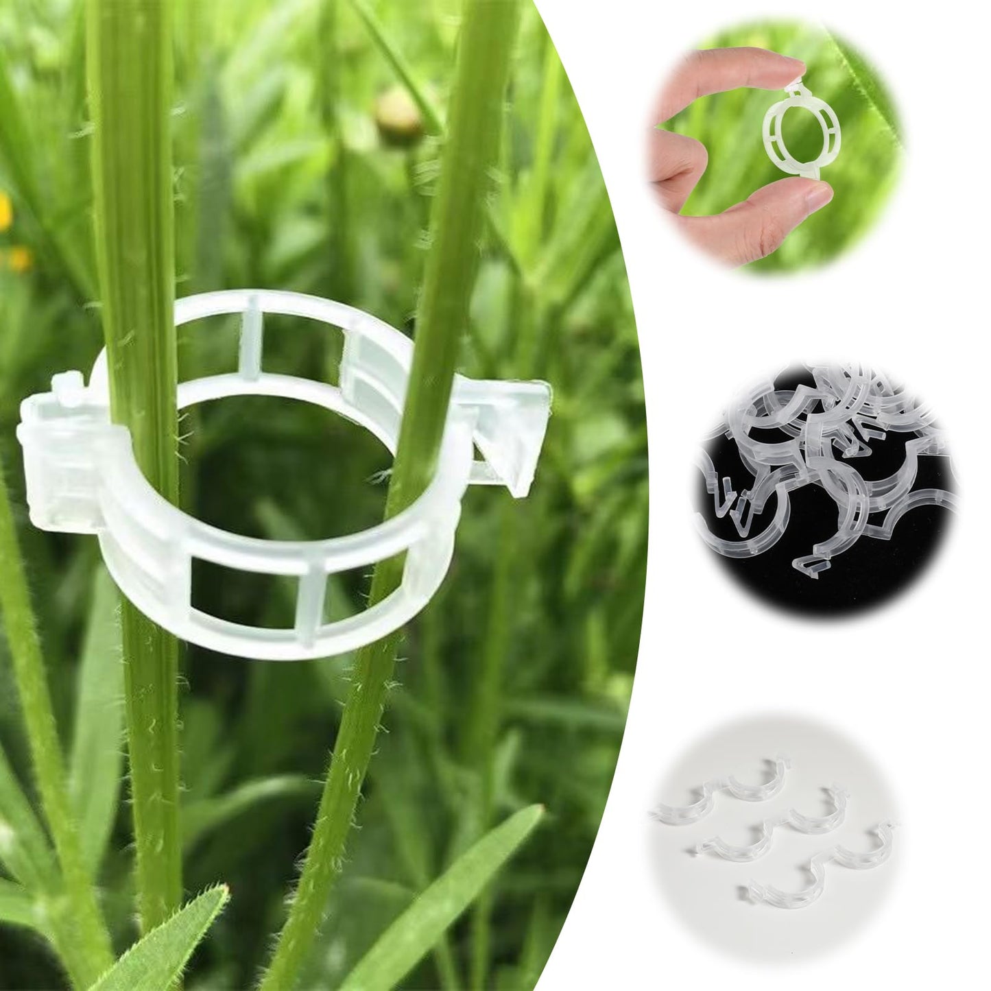 Tyqour 100pcs Plant Clips for Climbing Plants, Clear Plant Supports for Indoor Plants, Reusable Garden Clips, Plastic Plant Support Clips, Plant Accessories for Thriving Growth(Clear)