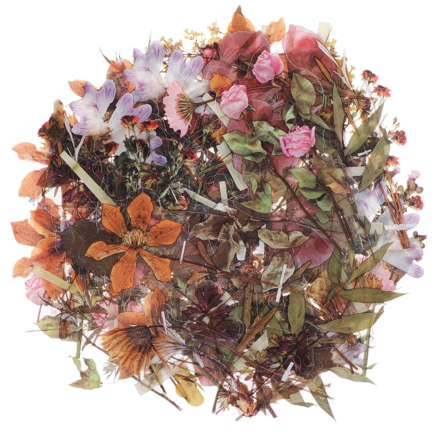 120 Pcs Flower Stickers for Scrapbooking Botanical Nature Stickers Pack Self-Adhesive PVC Nature Floral Stickers for DIY Craft Planners Journal Notebook Laptop Cell Phone Calendars Wedding(Set 2)