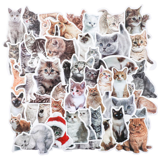 100 PCS Kitten Stickers Cat for Water Bottles Kawaii Cat Stickers Themed Cats Waterproof Kitten Cute Animal for Journaling Laptops Phone Luggage