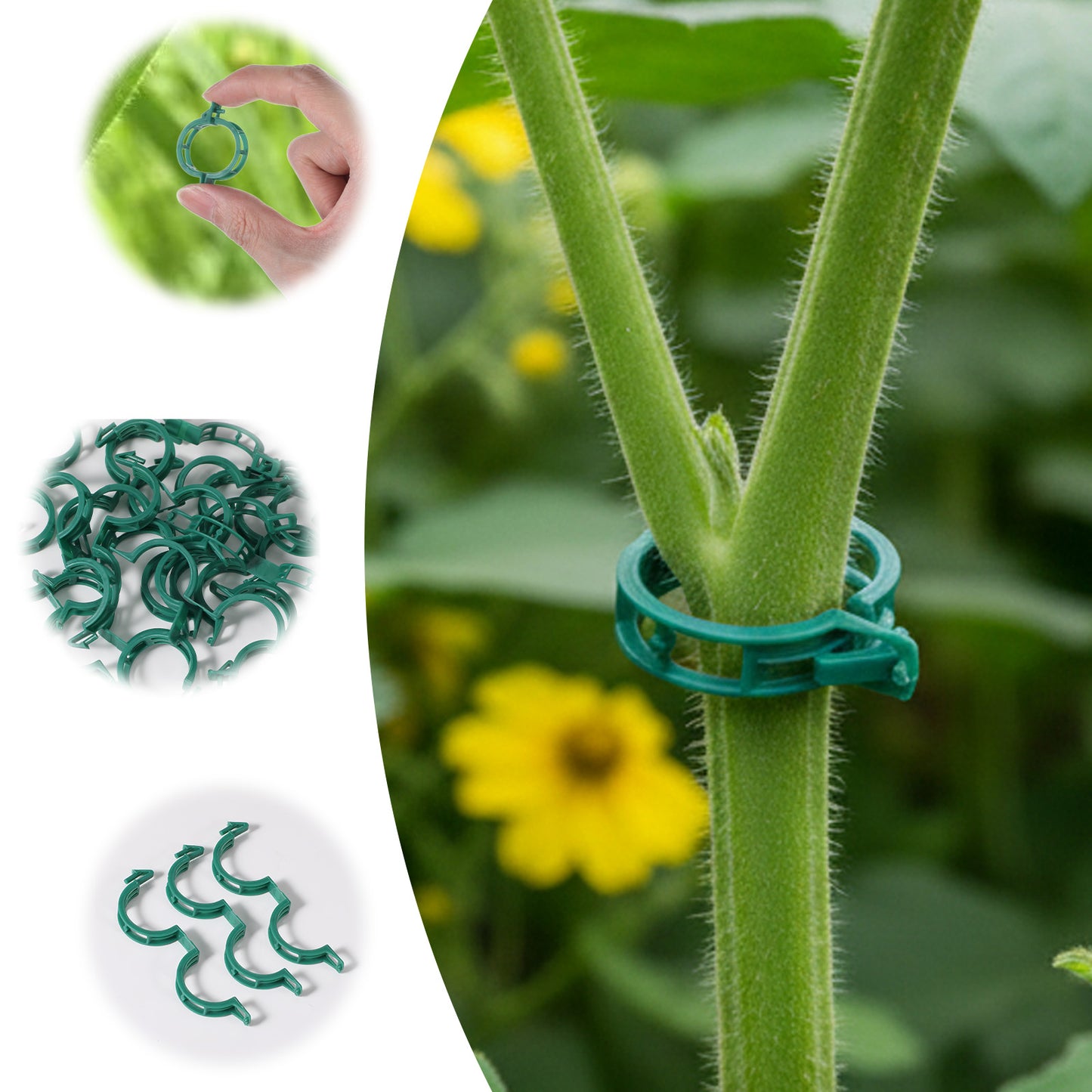 Ouligay 100 PCS Plant Clips for Climbing Plants, Green Plastic Plant Support Clips, Reusable Garden Clip for Fixing Tomatoes, Vegetables, Cucumbers, Plants Accessories for Thriving Growth (Green)