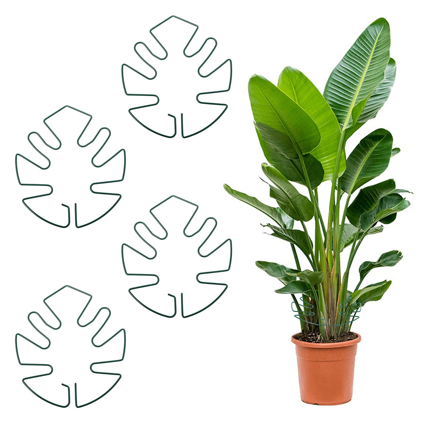 Tyqour 4pcs Plant Stem Support Durable Iron Moss Poles for Climbing Plants Pothos Plant Climber Support, Plant Cutting Holders Unique Design for Optimal Growth, Indoor Plant Stakes (Green, 13x14cm)