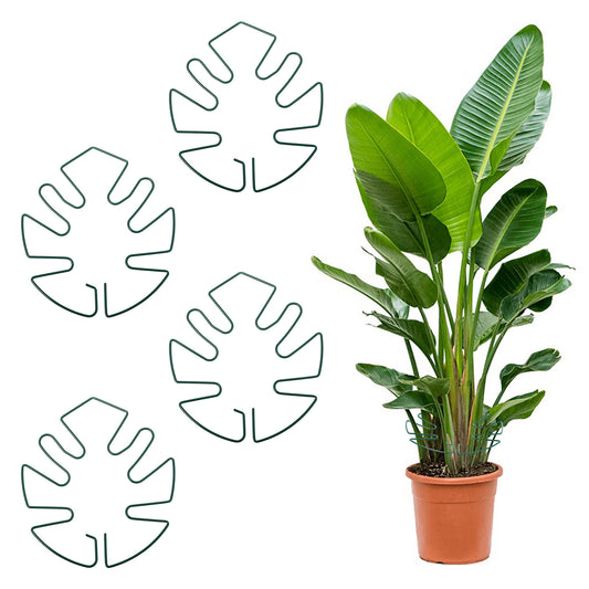 Tyqour 4pcs Plant Stem Support Durable Iron Moss Poles for Climbing Plants Pothos Plant Climber Support, Plant Cutting Holders Unique Design for Optimal Growth, Indoor Plant Stakes (Green, 13x14cm)