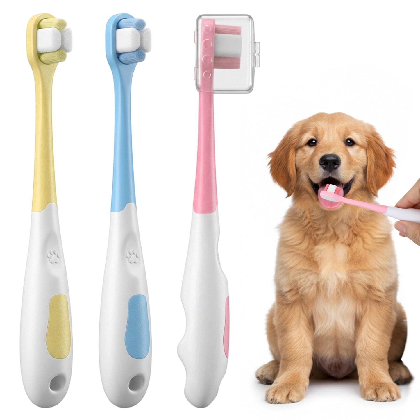 RAHHLIZS 3pcs Small Dog Cat Toothbrush Tooth Brushing Kit Tiny Puppy Kitten Pet Tooth Brushing Ultra Soft Head Teeth Brush Doggy Toothbrushes (Red, Blue, Yellow)