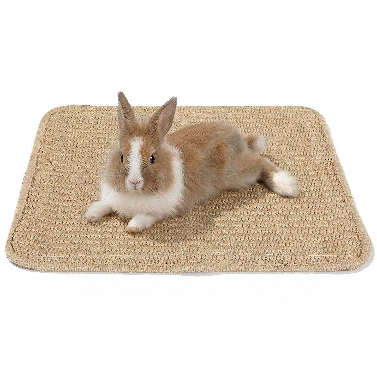 Nogeqi 1PCS Rabbit Scratching Pad, 30x40 CM Natural Sisal Bunny Scratch Pad, Rabbit Mat Claws and Teeth Care for Pet Small Animal Cage Chewing Bedding Biting Sleeping Nesting Toys (Style 2)