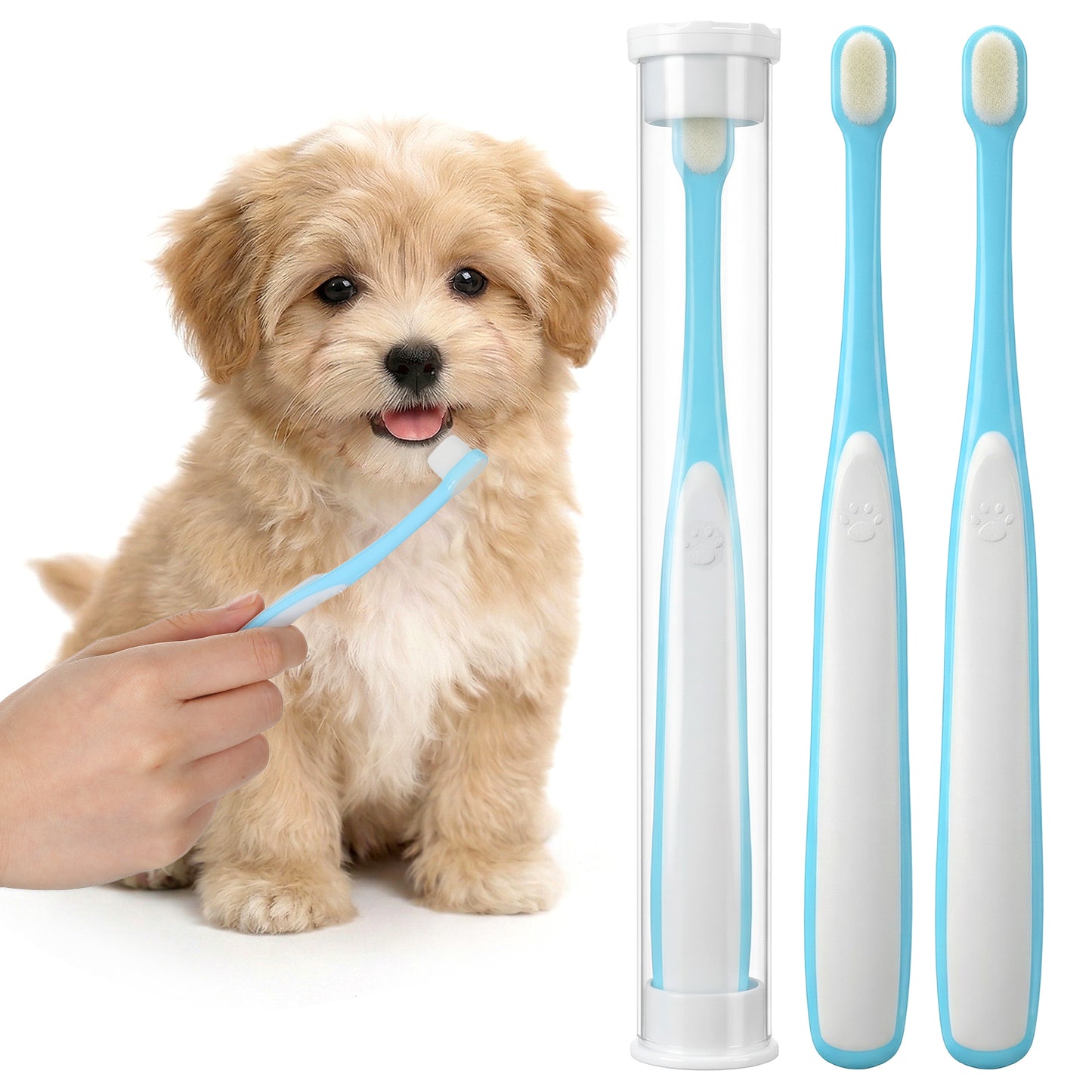 3 Pack Dog Toothbrush for Small Dogs Cats, Extra Soft Bristles Cat Tooth Brush, Mini Pet Toothbrush, Gentle Teeth Cleaning for Easy Dental Care Dental Cleaning, Light Blue