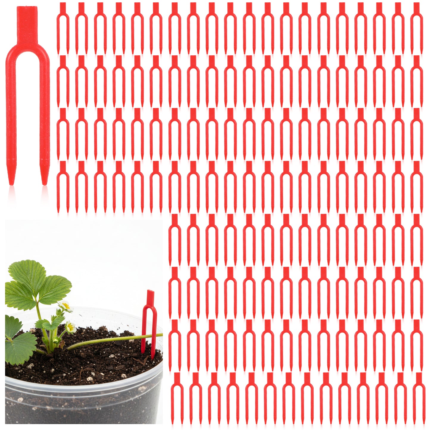 Sorcristy 150 PCS Plant Pins for Indoor Plants, Plastic Strawberry Support Pins Reusable U-Shaped Plant Clips Garden Fork Vine Fixing Clip Tool for Cutting Farming Securing (Red)