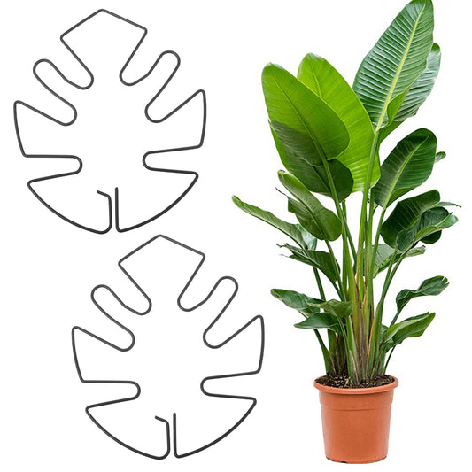 Tyqour 2PCS Monstera Plant Stem Support Durable Indoor Plant Stands Moss Pole Monstera Plant Support Stakes for Thriving Growth (Green, 13x14cm)