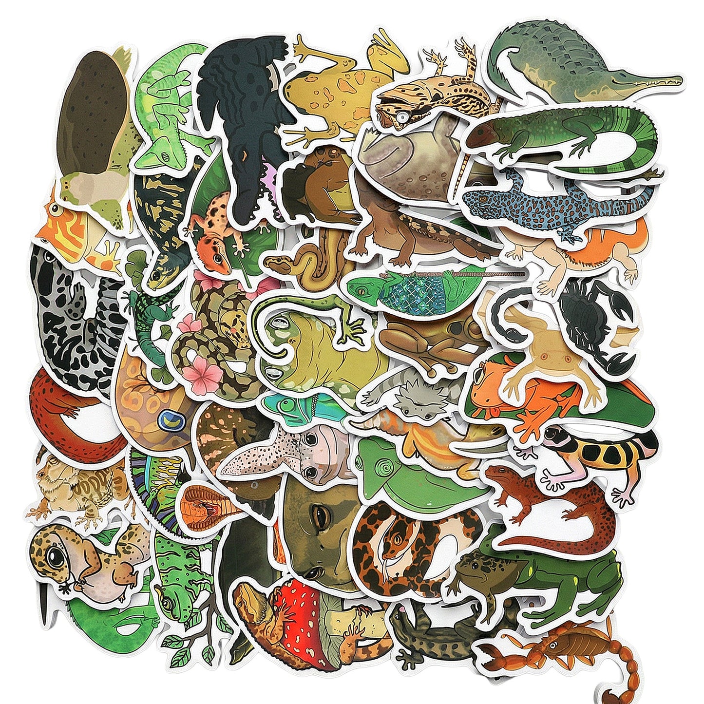 50Pcs Funny Reptile Animal Stickers (PVC), Ymapinc Gecko/Snake/Scorpion/Chameleon/Frog/Turtle/Lizard Wall Decal, Self-Adhesive Reptile Party Favors for Laptop/Water Bottle/Birthday Decor