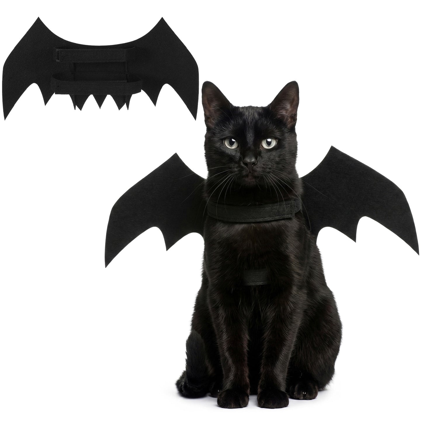 Nogeqi Cat Bat Wings, Cat Costumes Puppy Collar Leads Cosplay Bat Costume, Halloween Costumes for Small Dogs, Cats, Pet Party Dress Up Accessories, Black